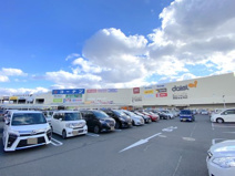 ホームセンターコーナン 中もず店