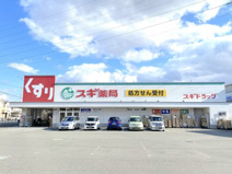 スギドラッグ 堺長曽根店