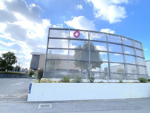 大阪府立弥生文化博物館