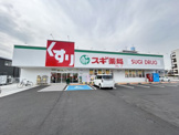 スギ薬局　信太山店