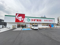 スギ薬局　信太山店