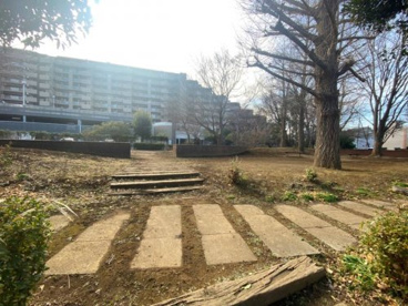 イチョウ公園の画像1