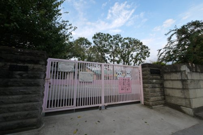 朋愛幼稚園の画像1