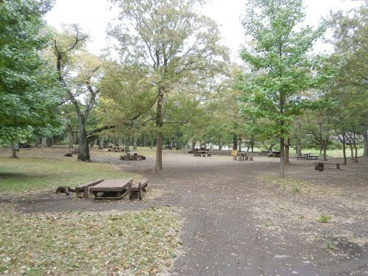 都立武蔵野公園の画像2