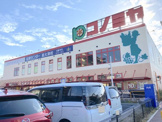 コノミヤ 泉大津店