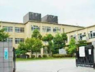 京都市立横大路小学校の画像1
