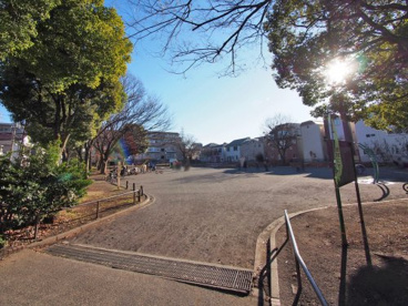 綱島東三丁目公園の画像1