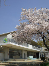 伊丹市立みずほ幼稚園の画像1