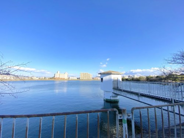 水賀池公園の画像1