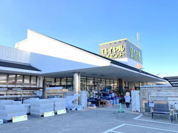 ロイヤルホームセンター堺の画像1