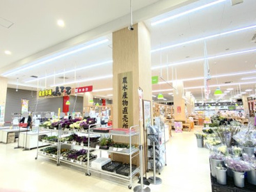 産直市場よってってビバモール和泉中央店の画像1