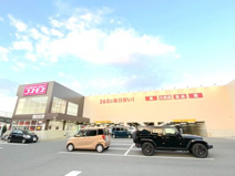 ディスカウントドラッグ コスモス 和泉和気店
