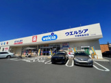 ウエルシア平塚南金目店