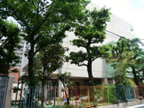 緑幼稚園