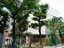 緑幼稚園