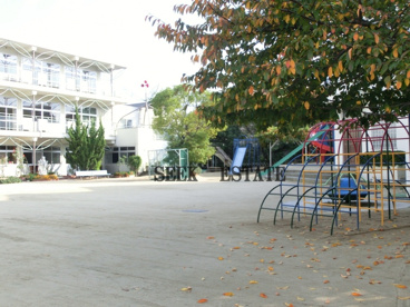 堺東幼稚園の画像3