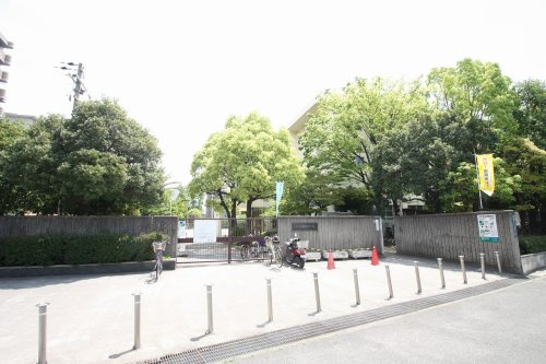 の画像