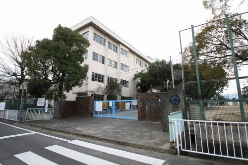 の画像