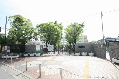 の画像