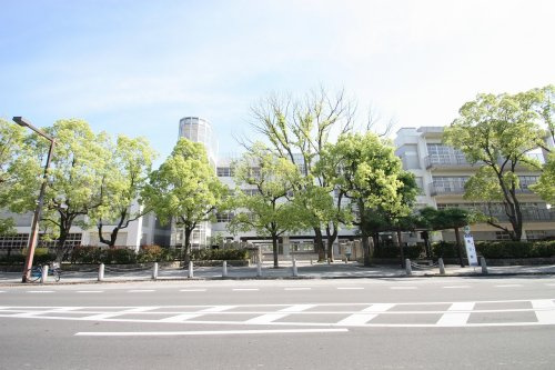 の画像