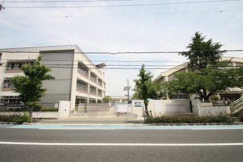 の画像