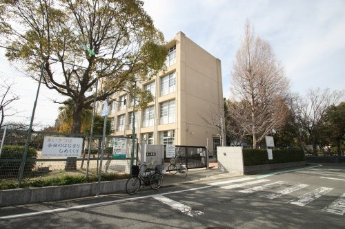 の画像