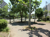 平井橋第一公園
