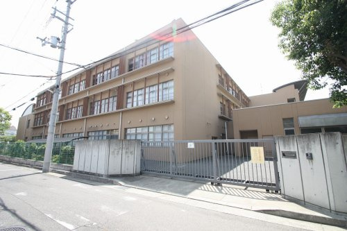 の画像