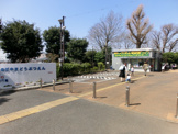 野毛山公園