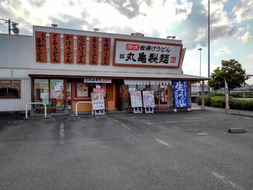 の画像