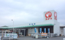 コメリハード＆グリーン神川店