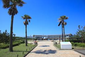 湘南海岸公園の画像1