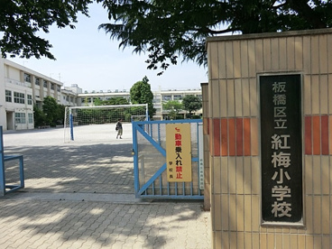 板橋区立紅梅小学校の画像1
