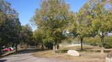 池谷公園