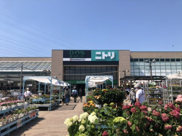 ニトリ　ロイヤル押熊店の画像1