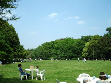 砧公園の画像2
