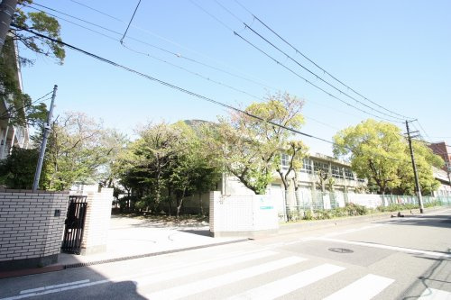 の画像