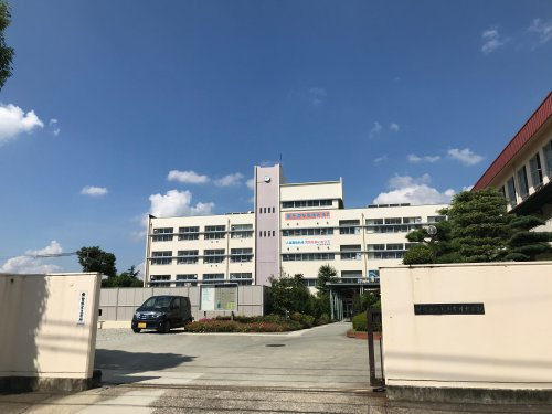 の画像