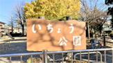 いちょう公園