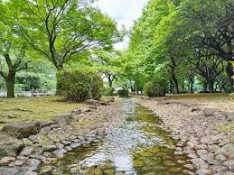 仙川公園の画像1