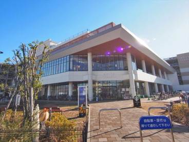アピタテラス横浜綱島店の画像1