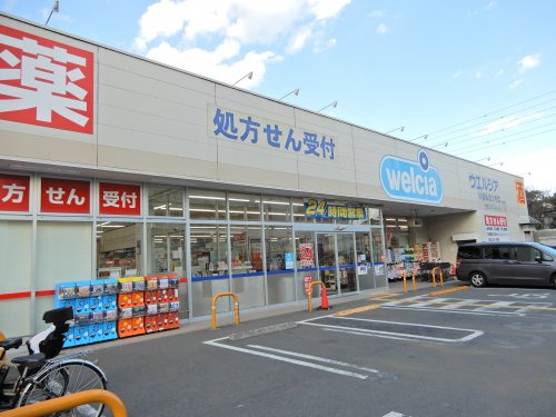 の画像