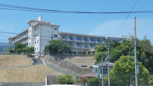 の画像