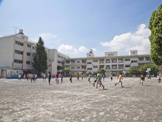 横浜市立白幡小学校