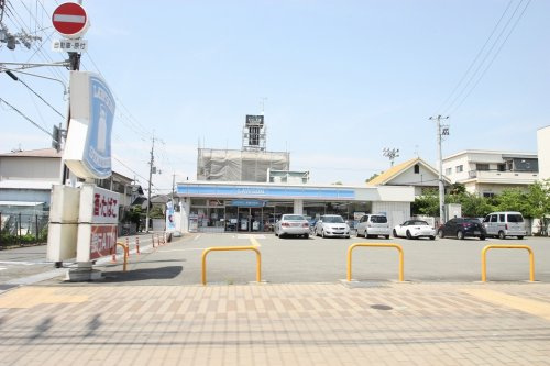 の画像