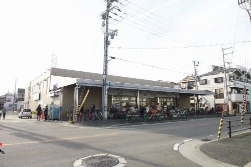 の画像