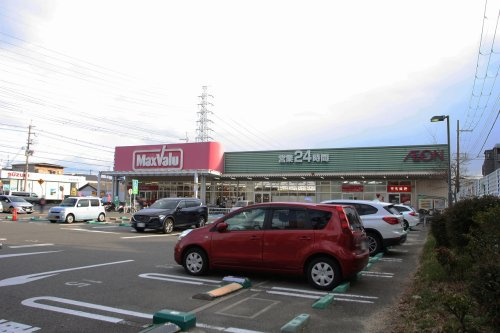 の画像