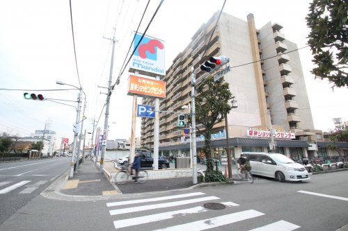 の画像
