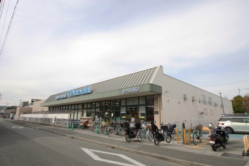 の画像