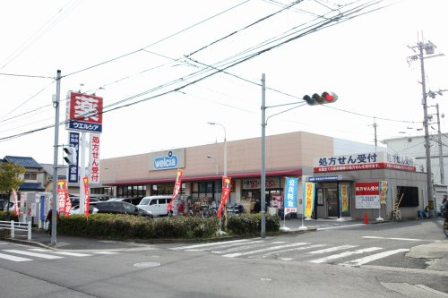 の画像